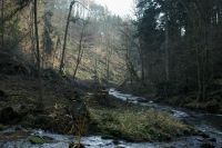 08 totalrodung_steinschlaggefahr